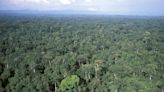 New evidence in Gabon may push back Earth's life start by 1.5B years