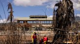 Hawaiian Electric says power lines were 'de-energized' hours before Maui wildfire