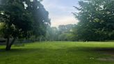 Finding cricket in Central Park