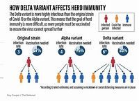 Delta變種病毒株有多可怕 名醫用圖解析 - 自由健康網