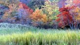 When and where do the leaves change color on Cape Cod? 10 places to find fall foliage.