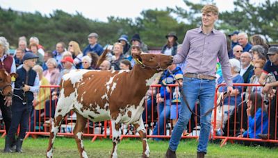 Island ready for two-day agricultural spectacular