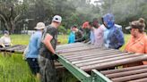 Marines tackle a shoreline mission: Volunteers work to restore habitat, protect housing