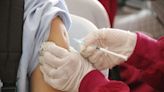 Finlandia empezará a vacunar a personas contra la gripe aviar - La Tercera