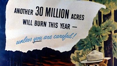 Bambi almost became the star of Smokey Bear campaign