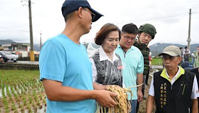 三星蔥田一片狼藉 林姿妙視察：盡速完成農損查報 - 生活