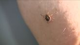 Lyme Disease cases growing due in part to a warm start to the season