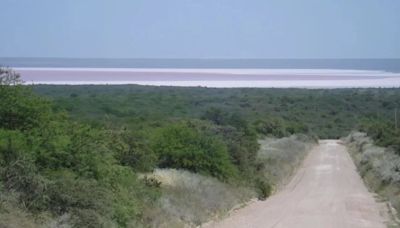 Un paso adelante en la producción sostenible: completan el mapa de suelos en Patagones