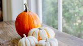 5 Signs a Pumpkin is Ready for Picking, According to Farmers