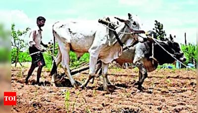 Telangana Ranks Second in Agricultural Spending in Previous Fiscal Year | Hyderabad News - Times of India