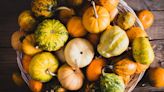 False Facts About Squash You Thought Were True