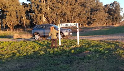 Pusieron en valor la entrada de una vieja estancia que se usó en una histórica película argentina - Diario Hoy En la noticia