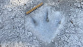 Texas drought reveals dinosaur footprints from 113 million years ago