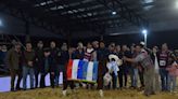 Nacionales ganaderas: en Corrientes se eligieron los mejores terneros de la raza Braford