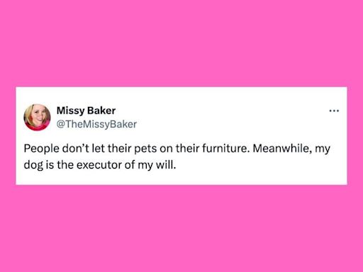 21 Of The Funniest Tweets About Cats And Dogs This Week (July 27-Aug. 2)