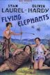 Elefanti che volano