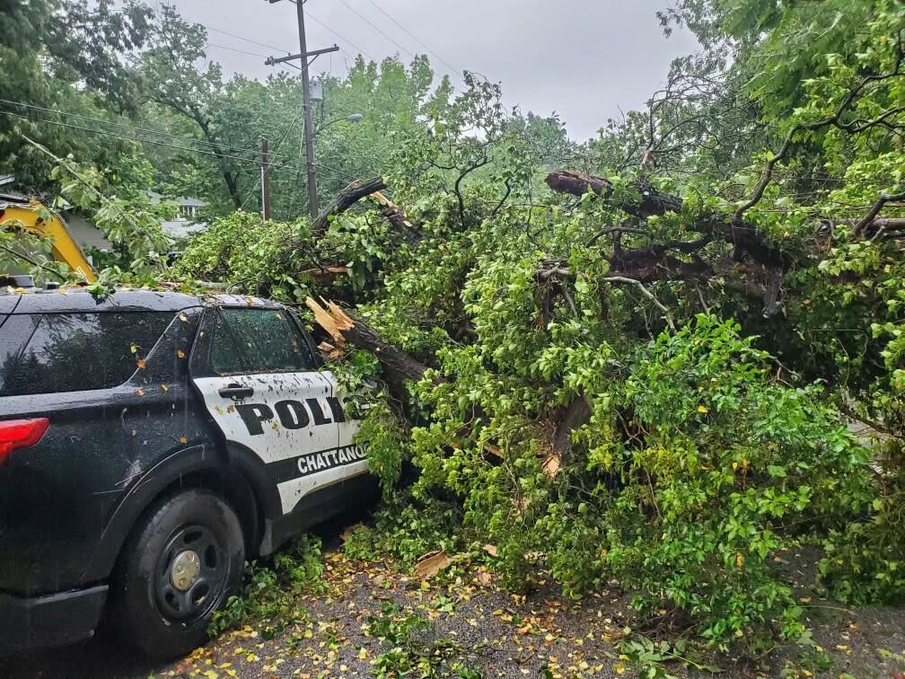 Officer injured after tree falls on patrol car on Hixson Pike - WDEF