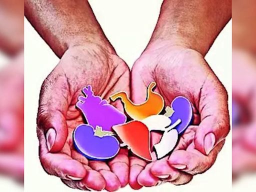 Rajasthan Government Restructures SOTTO for Organ Transplant Approvals | Jaipur News - Times of India