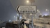 Husband dives into the sea to save intoxicated wife at Causeway Bay Typhoon Shelter - Dimsum Daily