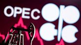 Eric Nuttall: OPEC running out of spare capacity confirms our multi-year bull case for oil