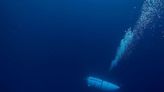 Tourists aboard the Titan sub read 'Titanic Remembrance,' a book about the 'unbelievable physical and mental anguish' Titanic victims and survivors went through in the ship's final hours