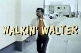 Walkin' Walter