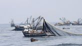 Concytec: pesca industrial en la reserva de Paracas debe ser rechazada categóricamente