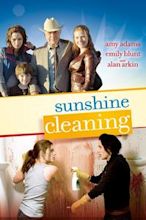 Sunshine Cleaning