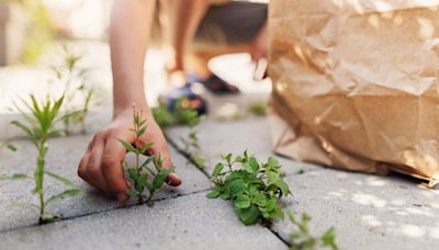 The secret 59p fix that’ll banish weeds from your patio for good