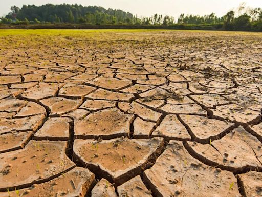 The shape of a five-year climate agenda for India