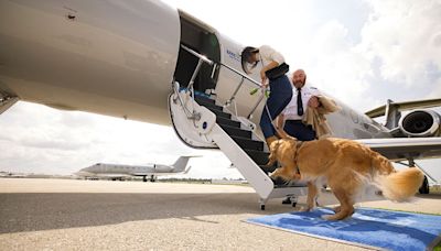 Com passagens a R$ 30 mil esgotadas, companhia aérea de luxo para cães fará seu primeiro voo