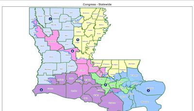 Louisiana congressional candidate to file request to US Supreme Court over map