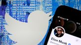 Elon Musk's $1 million Twitter bounty