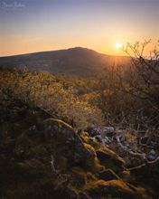 Angel Mountain - Drew Buckley Photography ~ Pembroke, Pembrokeshire
