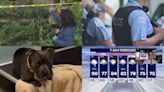 Tornadoes possible Tuesday • More police patrols requested for Memorial Day • Indiana pup finds home