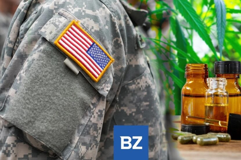 House Approves GOP Spending Package To Include Medical Marijuana Access For Veterans