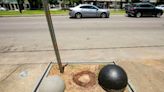 ‘It was massacred.’ Live oak on St. Charles Avenue illegally cut down.