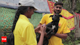 Zero rabies deaths in 7 years: How Kodaikanal did it | Chennai News - Times of India