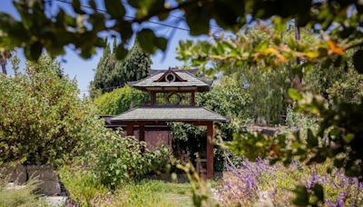 They turned a junk-filled L.A. yard into a weird and wonderful habitat garden