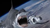 Shark Witchcraft? Female Sharks Gather Each Year Beneath the Full Moon