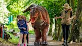 The Irish theme park with dinosaurs, bouncy castles & adventure playground