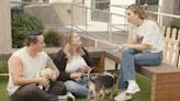 Christy Carlson Romano Helps 'Spunky' Rescue Dog Tiki Find a Playful Canine Companion