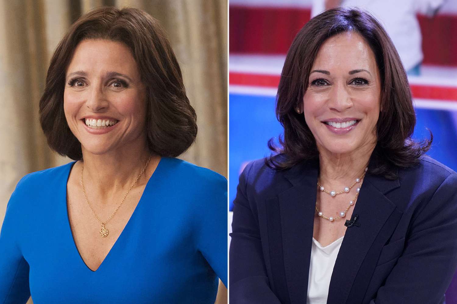 Julia Louis-Dreyfus is 'delighted' by Veep resurgence and knows Kamala Harris is too: 'Big time'