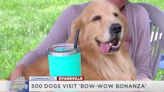 Evansville Obedience Club holds Bow Wow Bonanza event