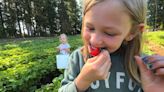 Check out the cream of the crop this summer on a farm to table trail in Northwest Washington