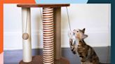 The 7 Best Cat Scratching Posts of 2024, Tested and Reviewed