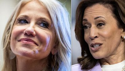 Kellyanne Conway's Dig At Kamala Harris Goes Left After She Fires Off... Compliments