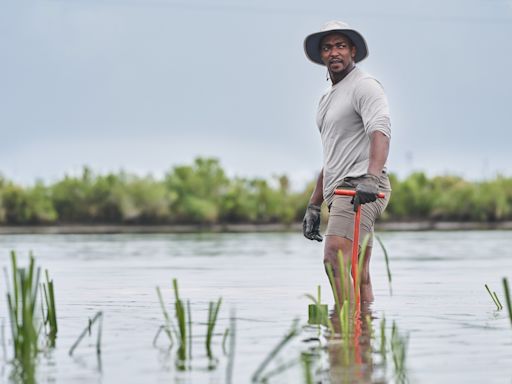 No shield required: ‘Captain America’ star Anthony Mackie’s own super power is swimming with sharks - WTOP News