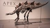 El más caro de la historia: esqueleto de dinosaurio Apex se vende en $44.6 millones