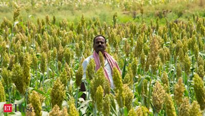 Budget 2024: Agriculture & FMCG sectors seek better infra & tech to help farmers tackle climate change, inflationary pressures